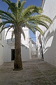 Vejer de la Frontera 